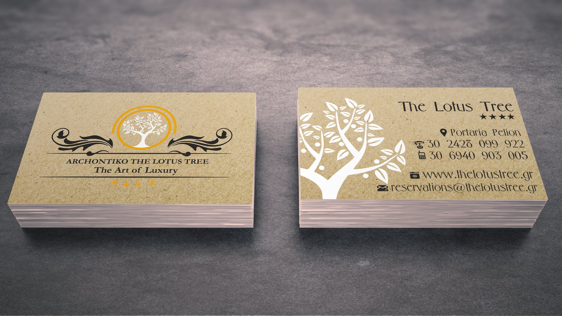 epagelmatikes_kartes_guesthouse